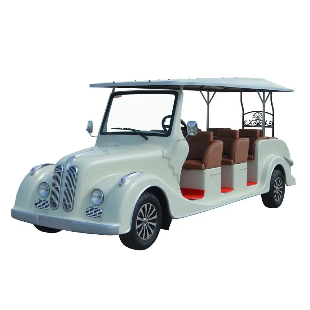 8 Seats electric recreational vehicle for sale