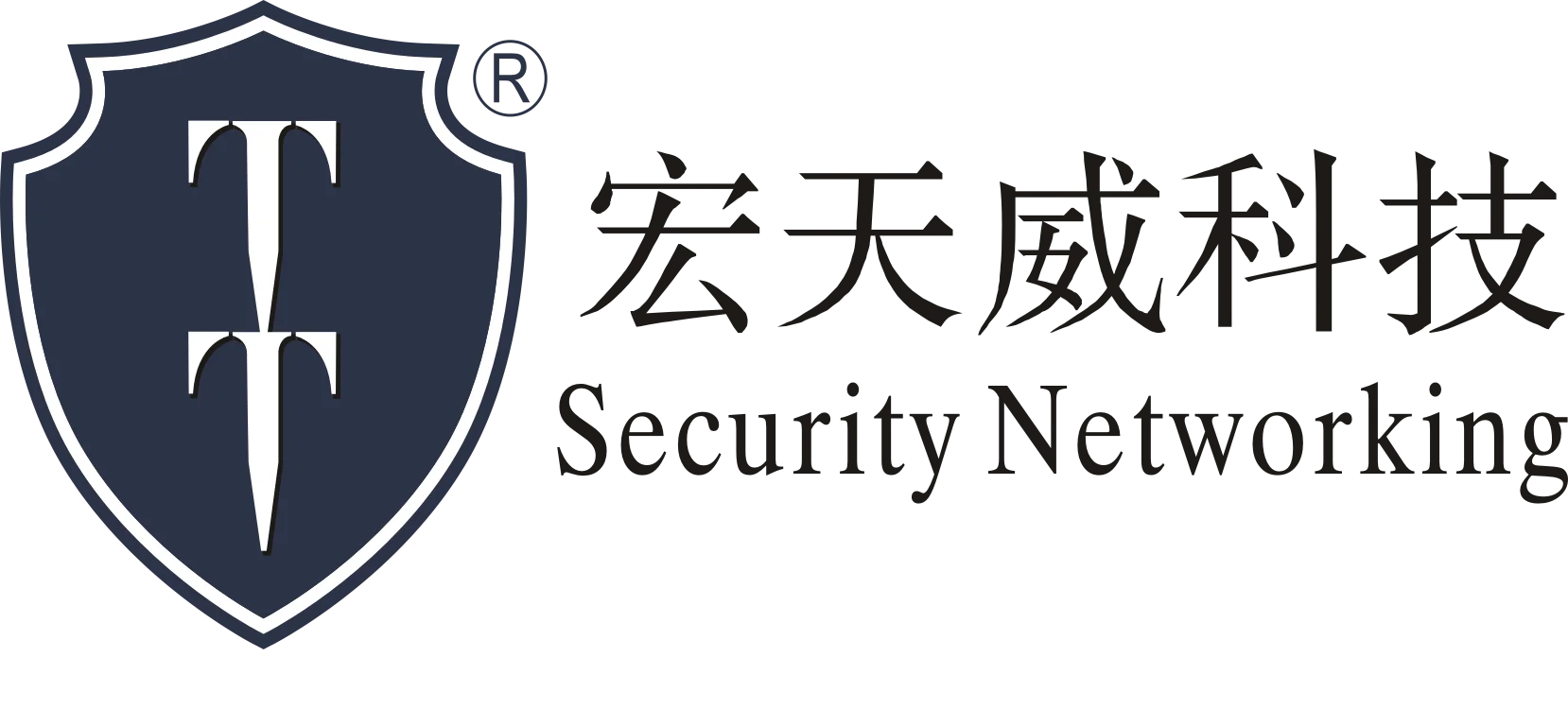 SECURITY NETWORKING