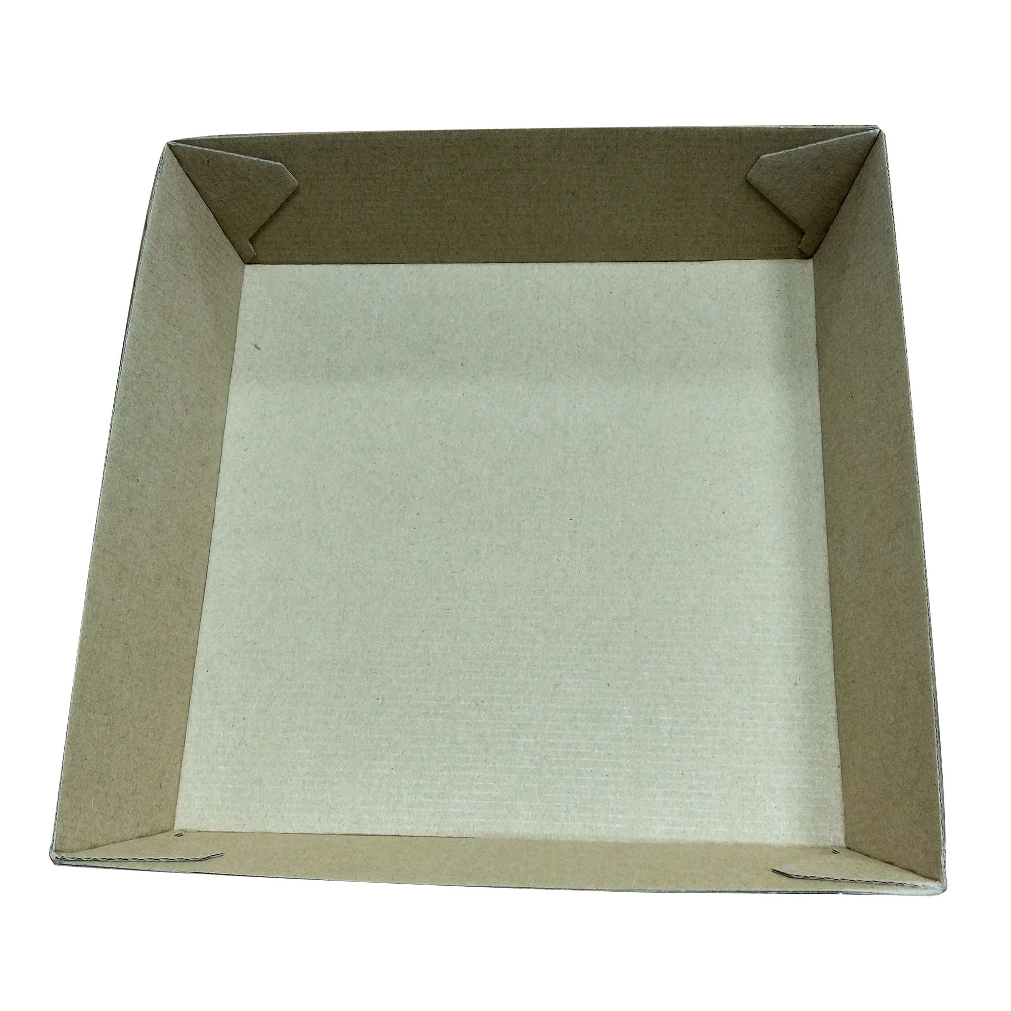 Поднос одноразовый бумажный. Картонный поднос. Поднос бумажный. Поднос бумажный. Золотой поднос.