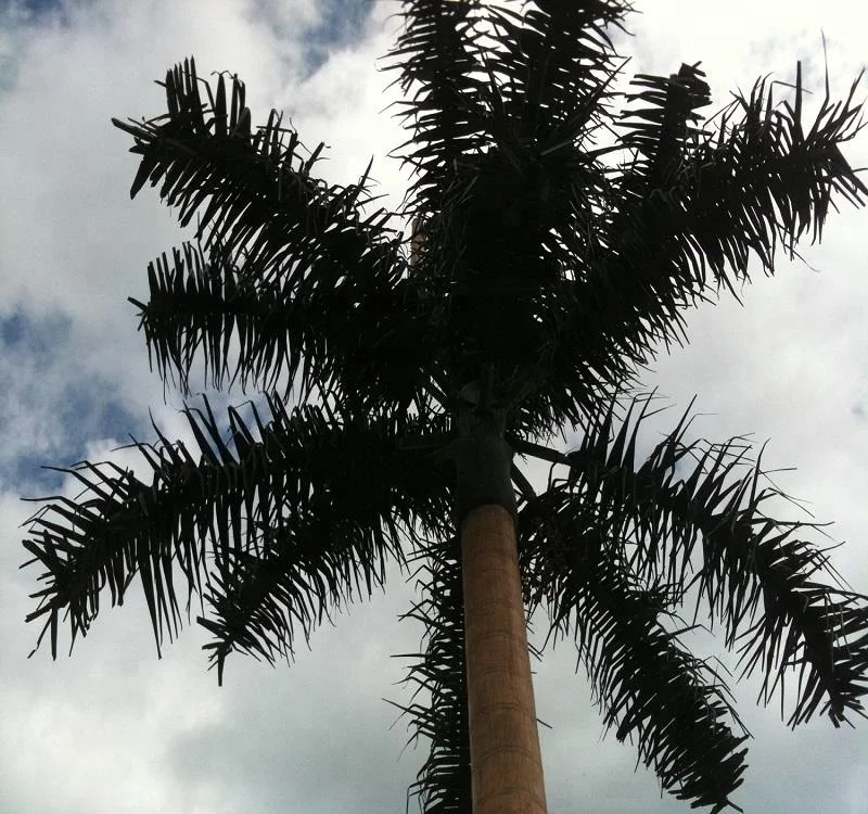 product-1-1 product-1-1