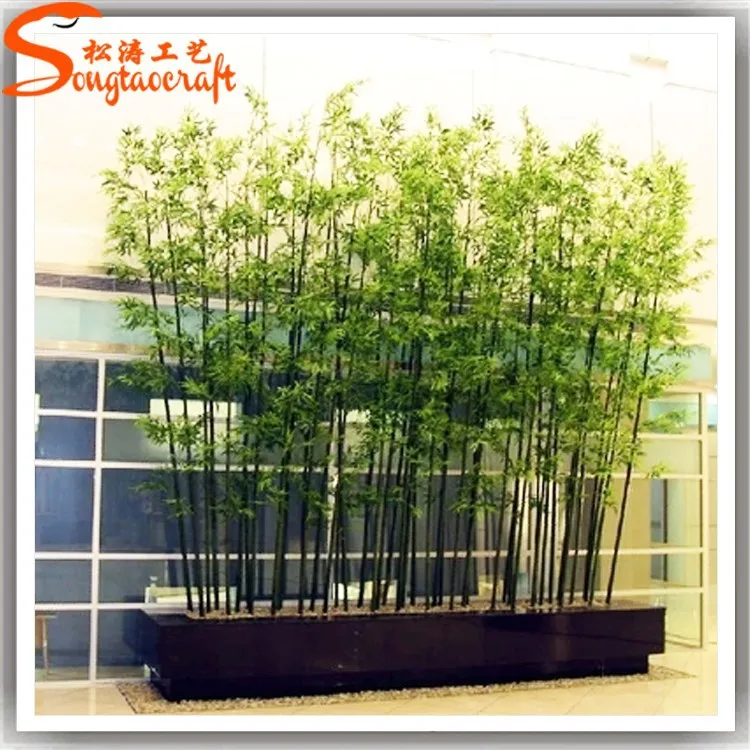 Plante De Bambou A Porte Bonheur En Plastique Livraison Gratuite A La Chine Nouveau Produit Buy Plantes De Bambou Bambou Chanceux Plante De Bambou Chinois Product On Alibaba Com