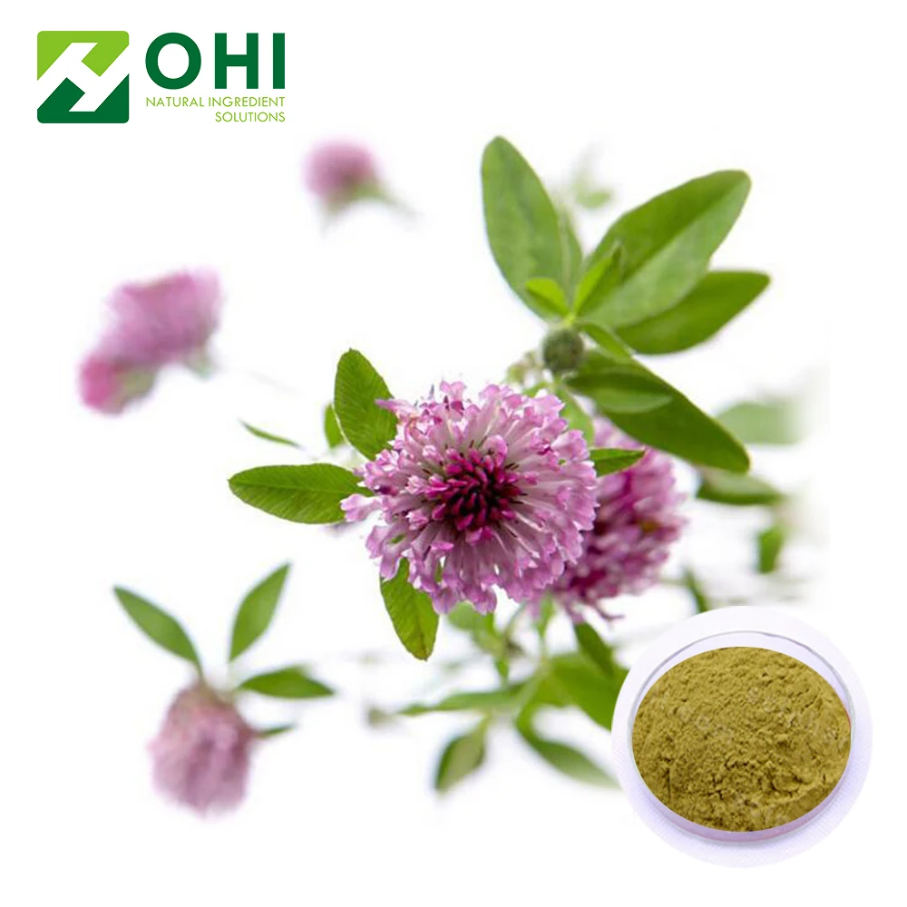 天然レッドクローバーの種 レッドクローバーp E レッドクローバーエキス Buy レッドクローバーエキス レッドクローバー Pe レッド クローバー種子 Product On Alibaba Com