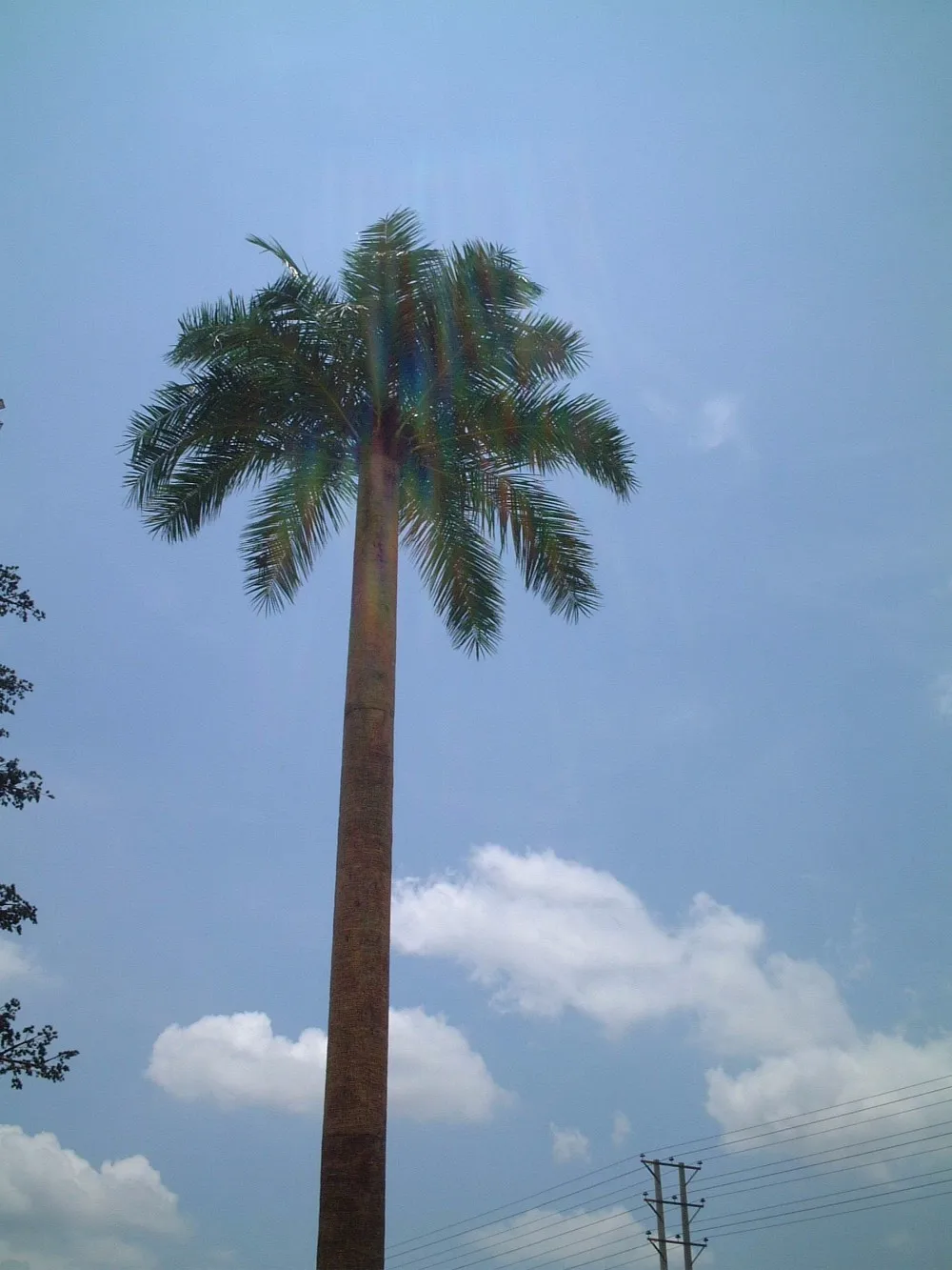 product-1-1 product-1-1