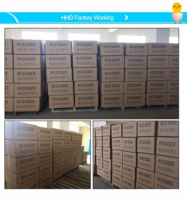 HHD Egg Incubators Automatic Power Consumption of Electrical 220v Ac 12v Dc 48 Egg Hatchery Machine