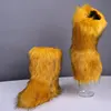 Curcuma
