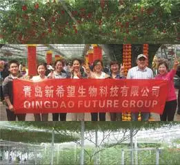 Qingdao Future Group 2