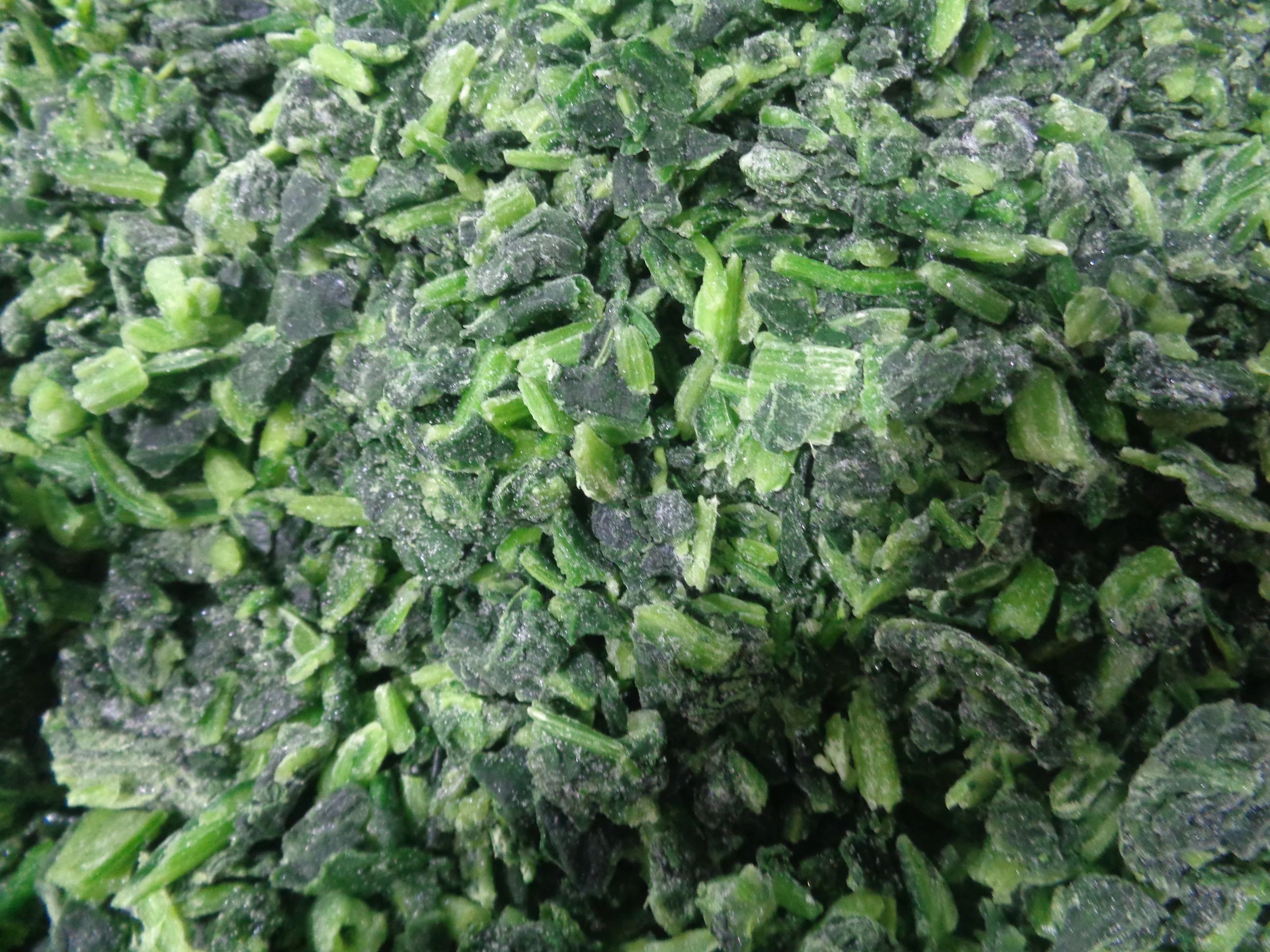 Sinocharm IQF Frozen Chopped Spinach With Good Price for Wholesale From Spinach Base
