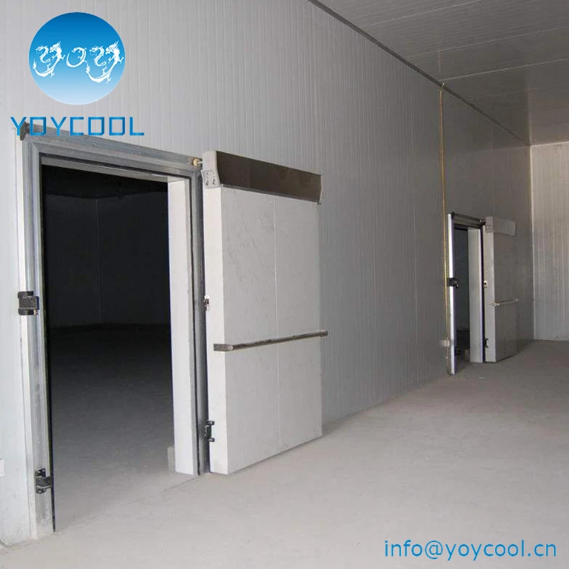 20 ft contenitore refrigerato congelatore camera cina ha fatto freezer ...