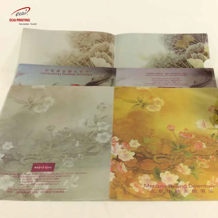 Пользовательская печать A4 L-образная полипропиленовая пластиковая прозрачная папка для файлов от производителя