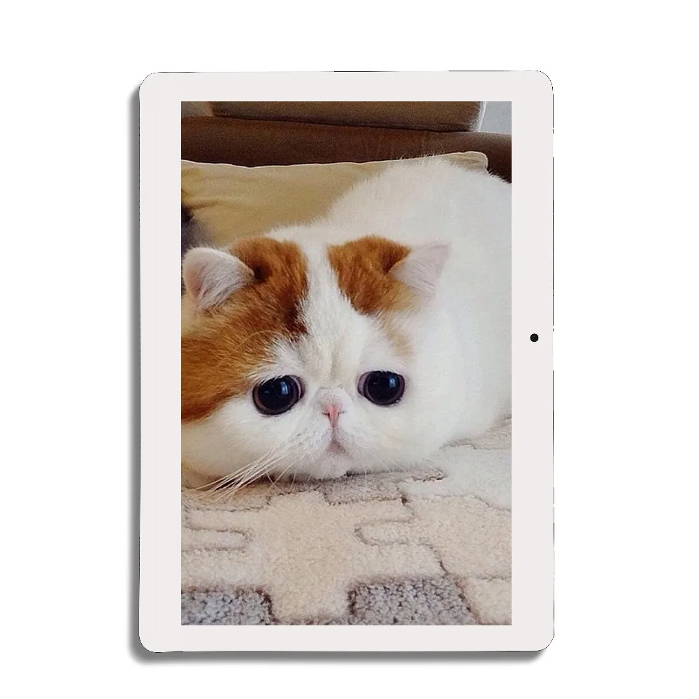 Хиты продаж 10 дюймов android wifi планшетный ПК 2 Гб оперативной памяти 32 встроенной GPS 1920*1200 ips 4G + 5 0G двухчастотный Wi-Fi