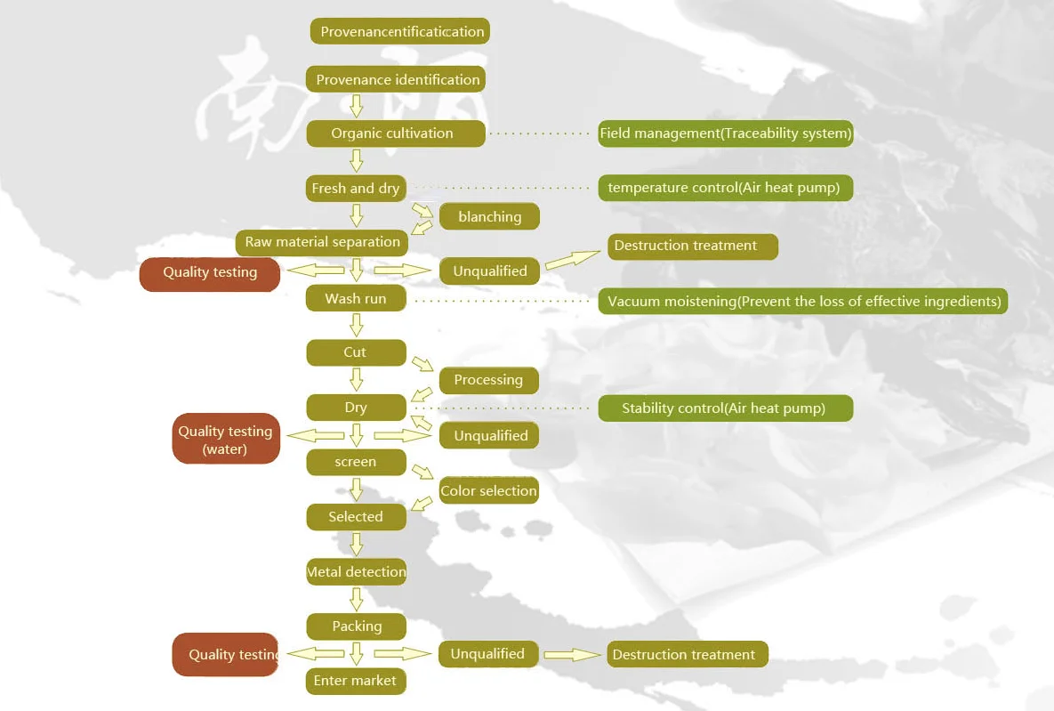 Production Process