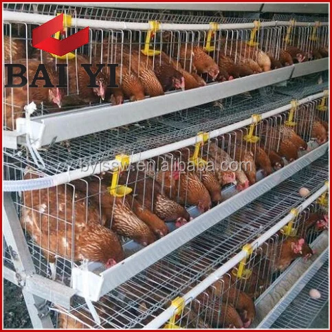 Discount Poultry House Design for Layers in Kenya Farm