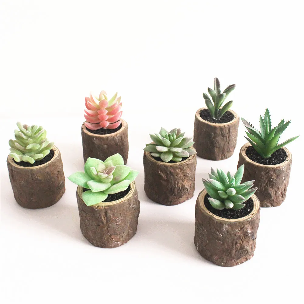 Mini Artificial Plants Live Succulent Plants With Pot Tropical Plants Artificial Flowers Buy Mini Juicy Plant Potted Plants Artificial Small Potted Plants Rubber Bonsai Plants Product On Alibaba Com