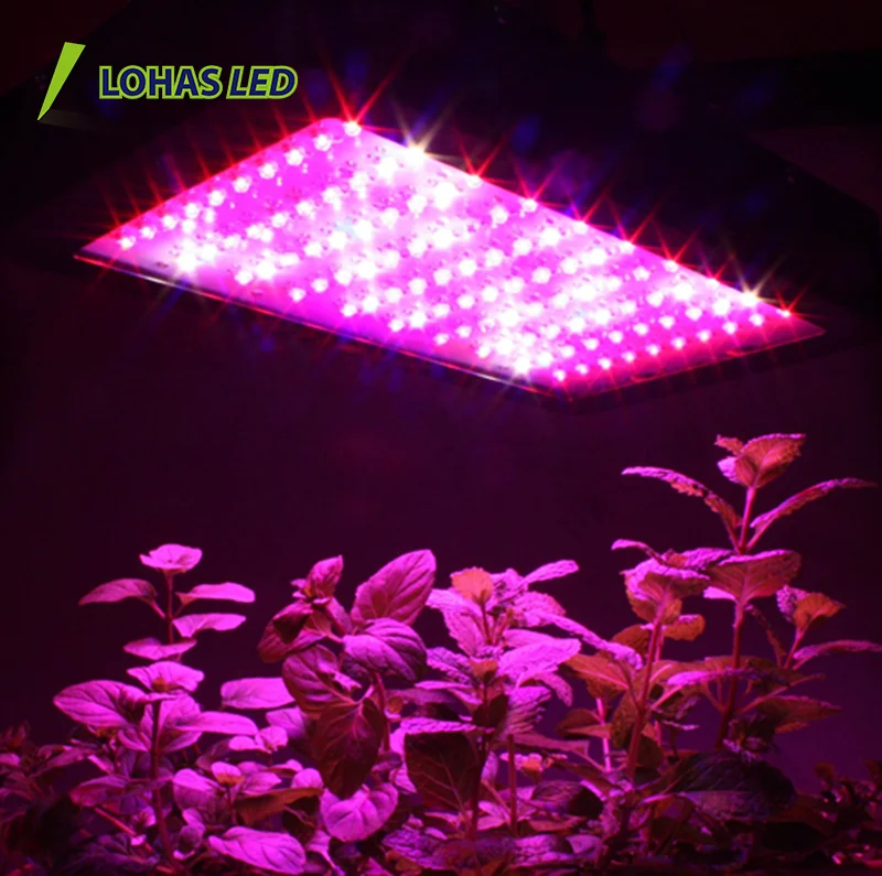 LED Grow Light Nova 300w 450w 600w 800w 900w full spectrum Led Grow Lamp for sale