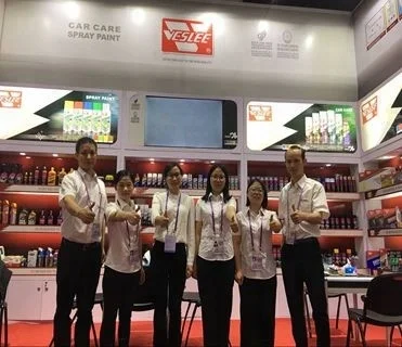 Fuel Additive Treatment Saver Premium Diesel Fuel Additive for Car