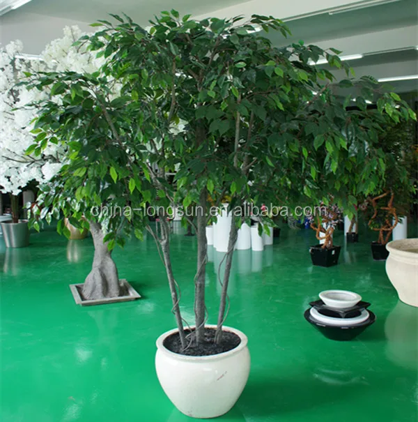 производство и поставки искусственный высокое качество естественная форма растения фикус для продажи