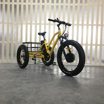 48v Cargo Ebike Bike Cabin Tricycle With Lcd Panel - Buy Cargo Ebike ...