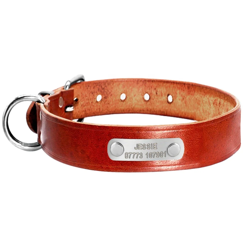 bark collar and remote trainer