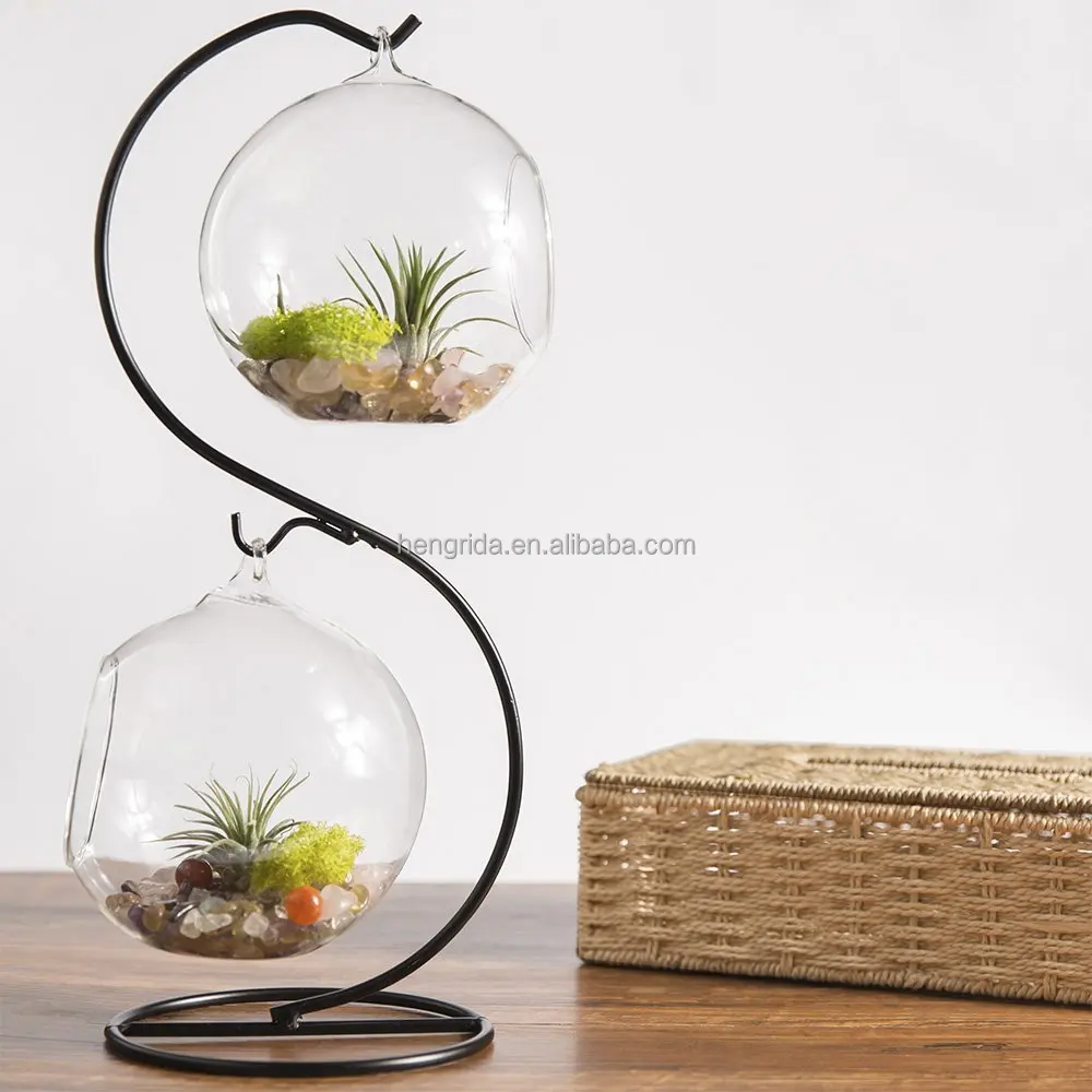 
 Подвесная стеклянная ваза для растений, Террариум с черной или белой металлической подставкой для украшения дома  