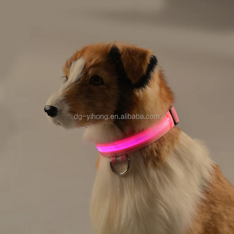 flashing dog lead