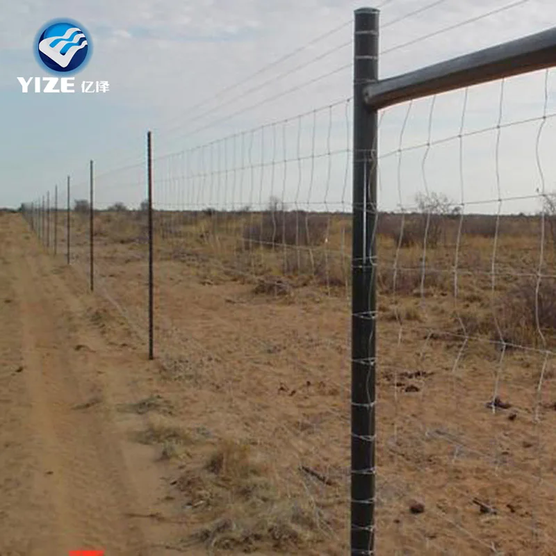 Cattle Fence And Hinge Joint Knot Used Horse Field Fence Panel Buy