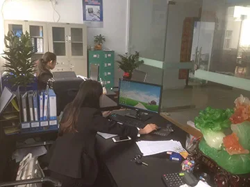 Ningbo Baifi Auto Parts Co., Ltd.
