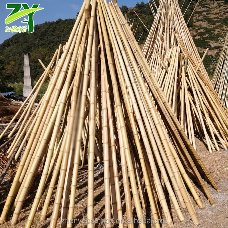 建設 造園 足場 装飾のためのzy Mosoの中国の大きなモソ竹の柱 Buy 竹極販売 生竹極 大竹極 Product On Alibaba Com