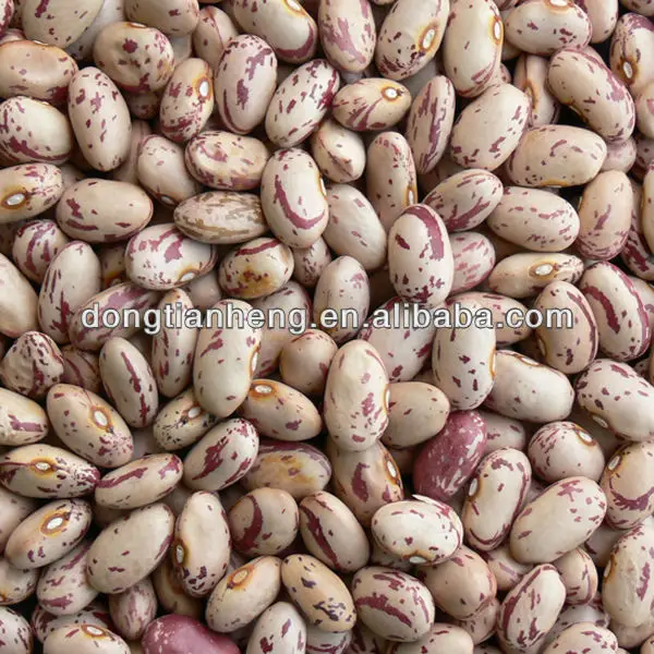 Featured image of post Simple Way to Speckled Red And White Beans