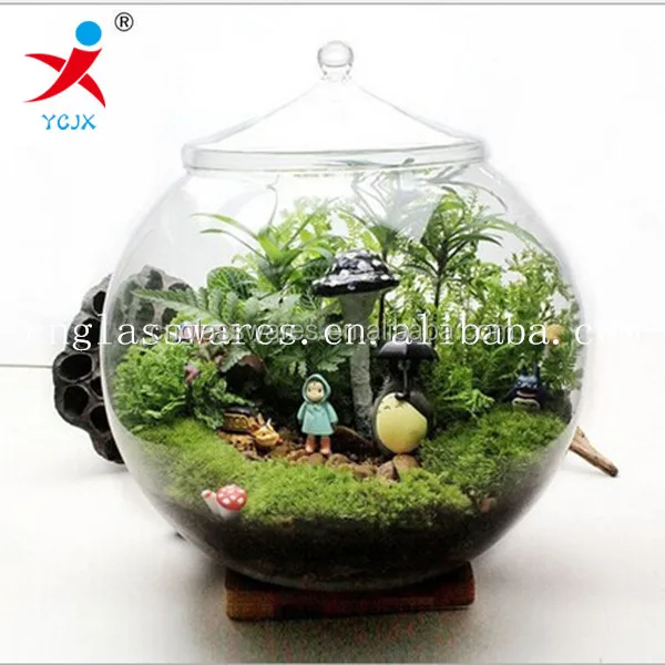 Прозрачный держатель для шаров из боросиликатного стекла с стеклянными крышками