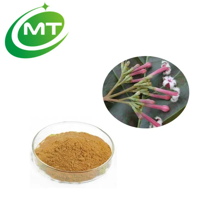 oragnic cinchona officinalis extract quinquina bark extract