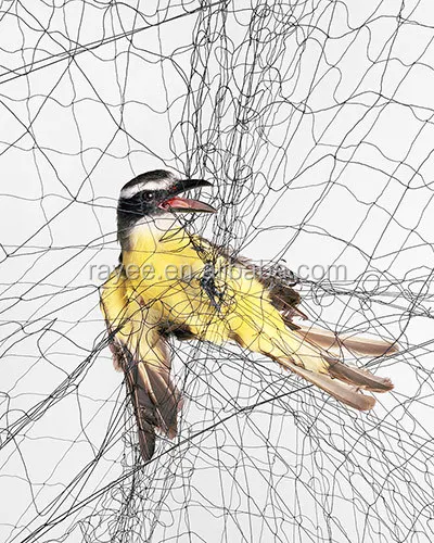 Rede Para Pegar Passaros Invisiveu, Nylon Anti Bird Net with Small Mesh Hole to Catching Birds , Mist Net