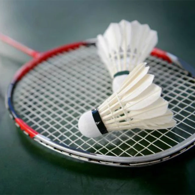 Ракетка для бадминтона из углеродного волокна на заказ ракетка профессиональная