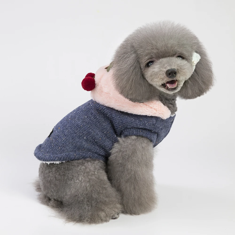 heated dog coat