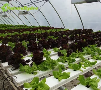 スマートインテリジェンスNFT水耕栽培プランター スマートインテリジェンスNFT水耕栽培プランター スマート