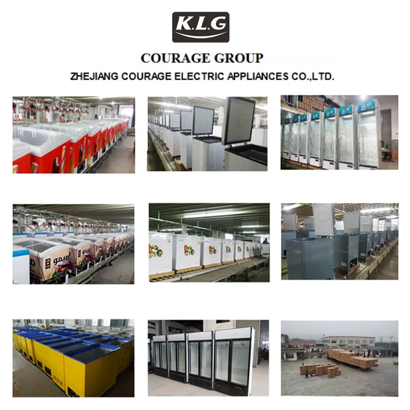 40 Feet Container Cold Storage Industrial Refrigerator Gas Fridge Iqf Tunnel Refrigerator lg Chest 50 Liter Deep Freezer