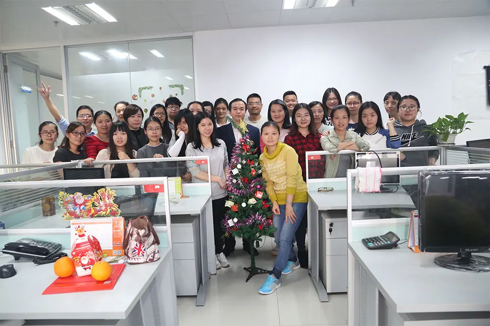 Shenzhen Erisin Digital Co., Ltd. 2
