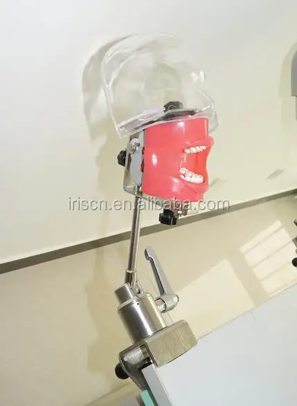 Dental Simulator Nissin Compatible Manikin with Transparent Phantom Head