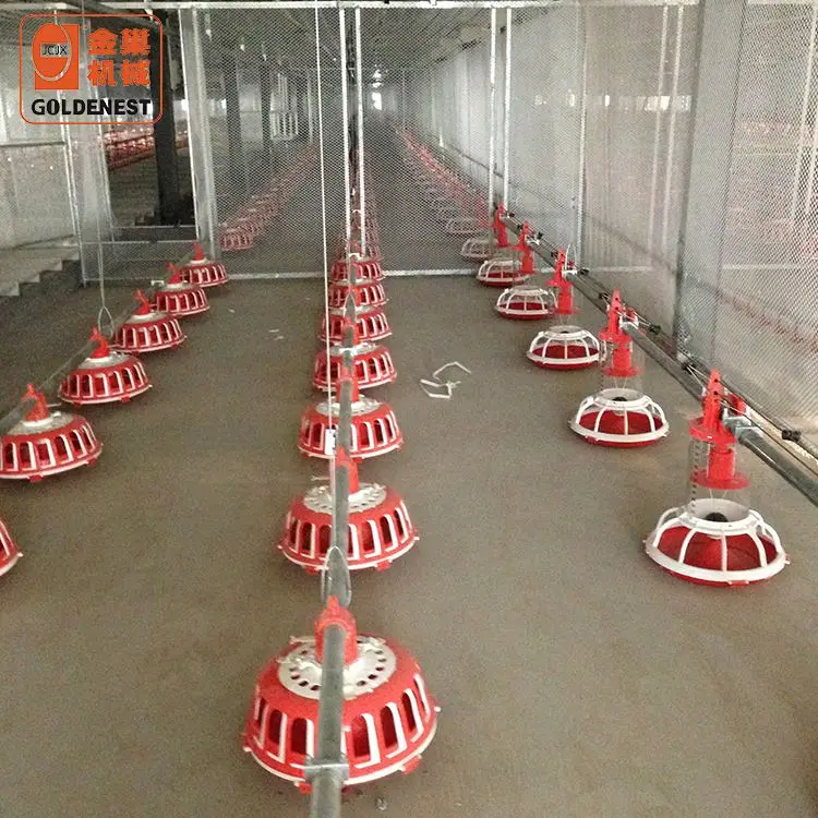 Высококачественное оборудование для птицеводства автоматическая кормушка бройлеров и