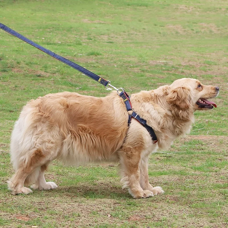 double handle dog harness