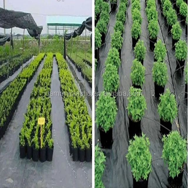 Перегноем и кукурузным крохмаллом анти-трава ткань наземного покрова контроль сорняков