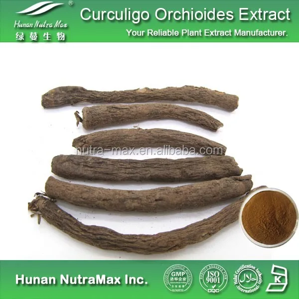 仙毛 Curculigo 睾丸根提取物 Curculigo Leemoroides 根茎提取物 Buy Curculigo 睾丸根提取物 Curculigo 睾丸油根茎提取物 仙毛product On Alibaba Com 仙毛 Curculigo 睾丸根提取物 Curculigo Leemoroides 根茎提取物 Buy Curculigo 睾丸根提取物 Curculigo 睾丸油根茎提取物 仙毛product On Alibaba Com