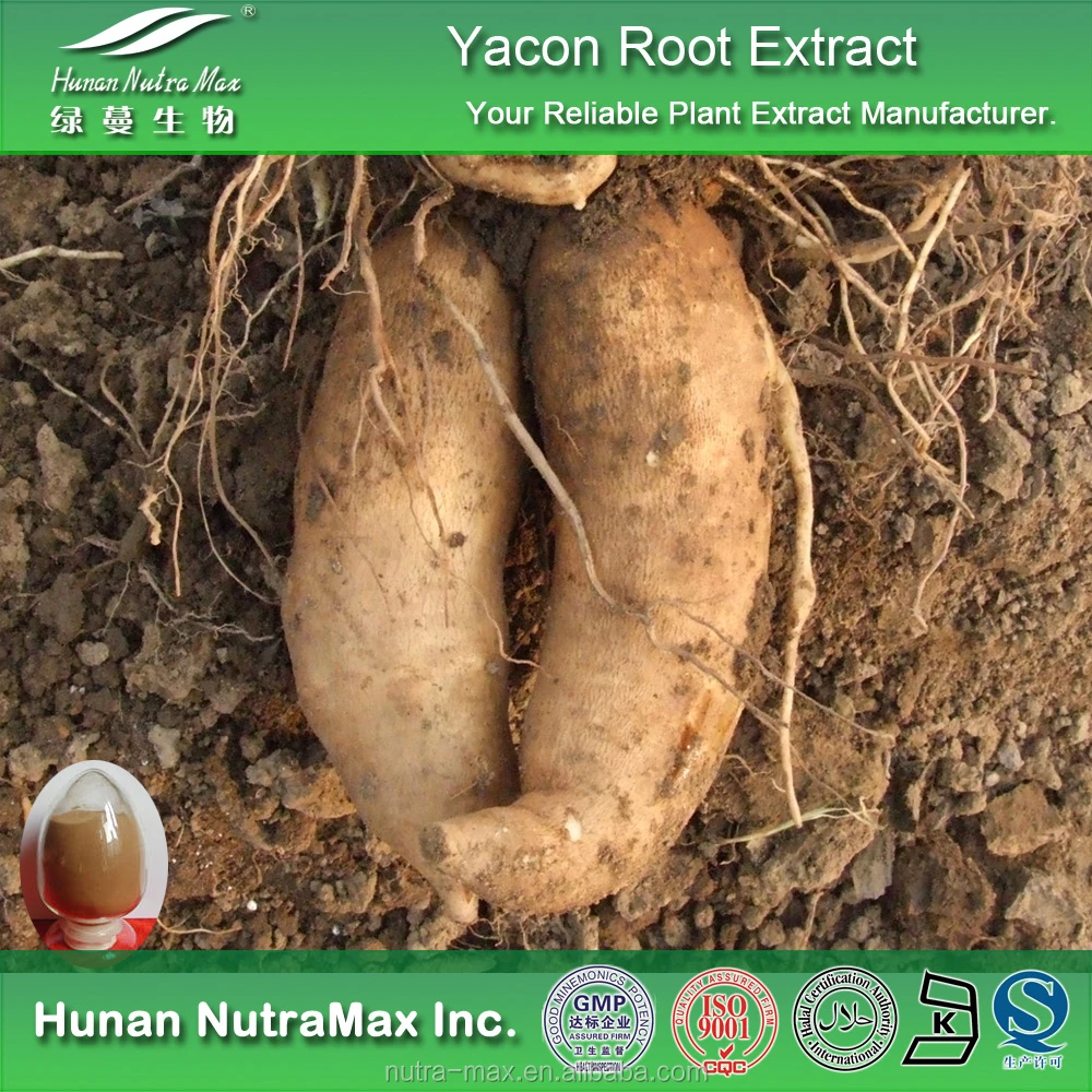 Yacon Root Extract, Yacon Root Extract Powder, Yacon Root P.E.