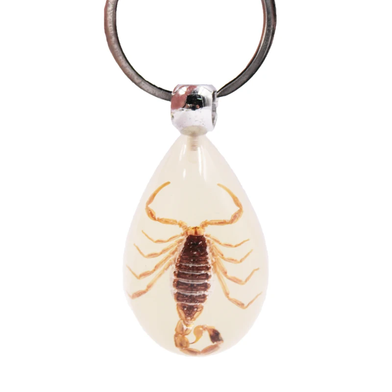 Luminous Scorpion Keychain Real Insect Amber Keyring Fluorescent Effect Metal Plastic Resin Acrylic Number Gifts Decorations
