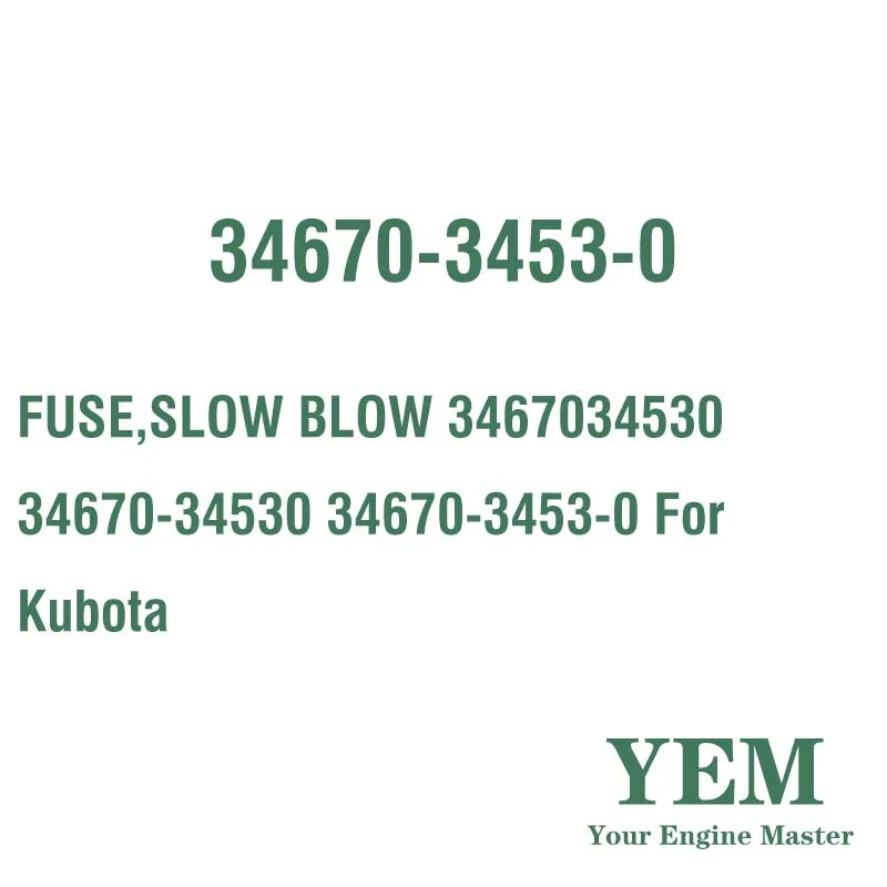 FUSE SLOW BLOW 3467034530 34670-34530 34670-3453-0 for Kubota