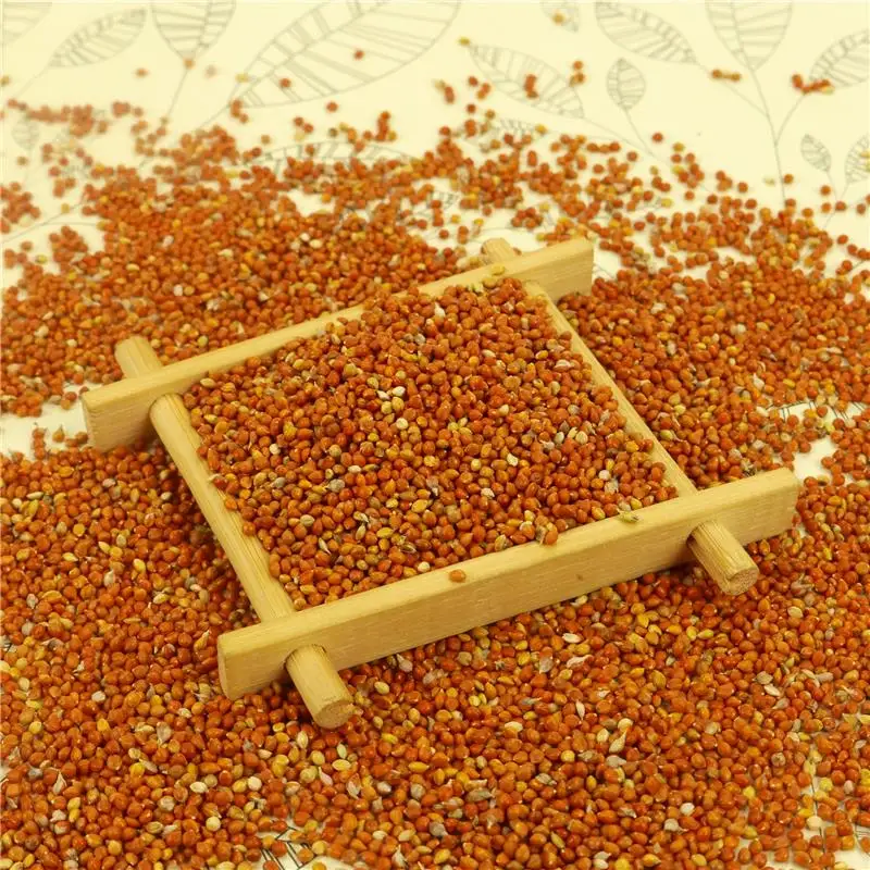 Red Millet In Husk With Shelled Broomcorn For Seed Bird Food Pet's Feed