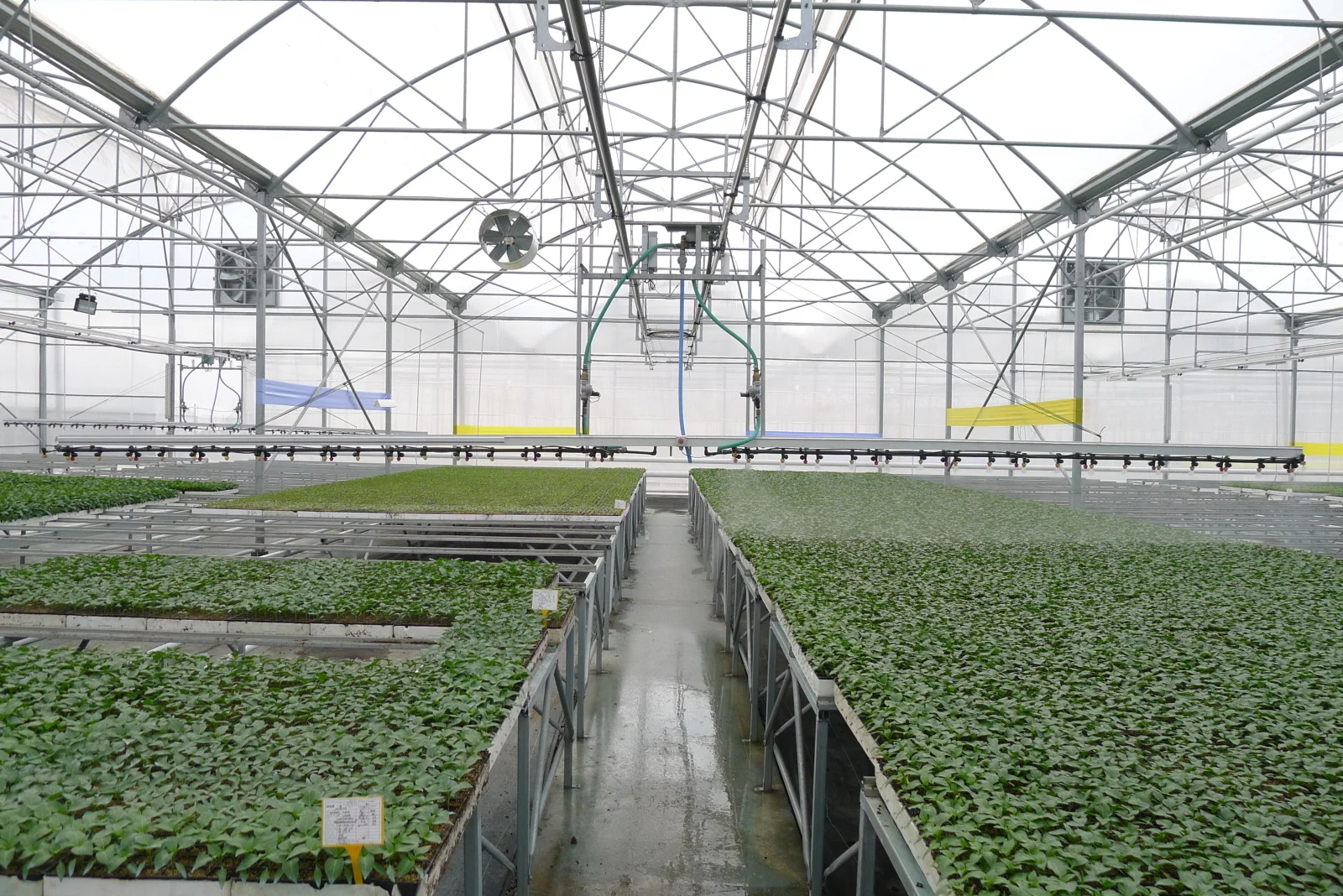 Greenhouse Mobile Sprinkling Irrigation System