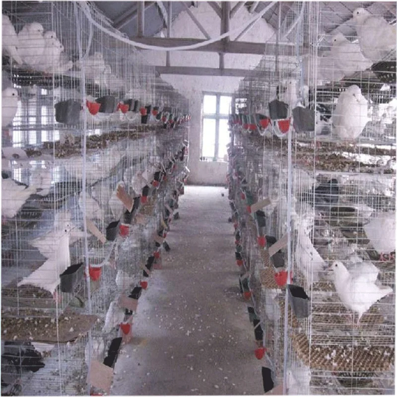 2024 Design Mesh Wire Breeding Cage for Pigeons