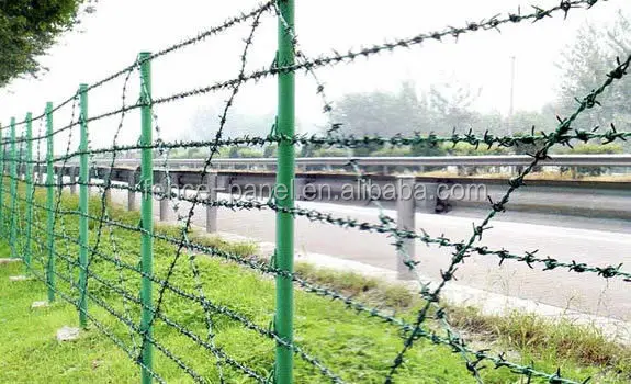 PVC coated green color reverse twist barbed wire on sale