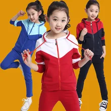 Alta Qualidade! Crianças Meninas Outono e primavera Duas peças Camisolas + calça Terno Longo 2016 Nova Roupa Dos Miúdos Meninas Terno dos esportes