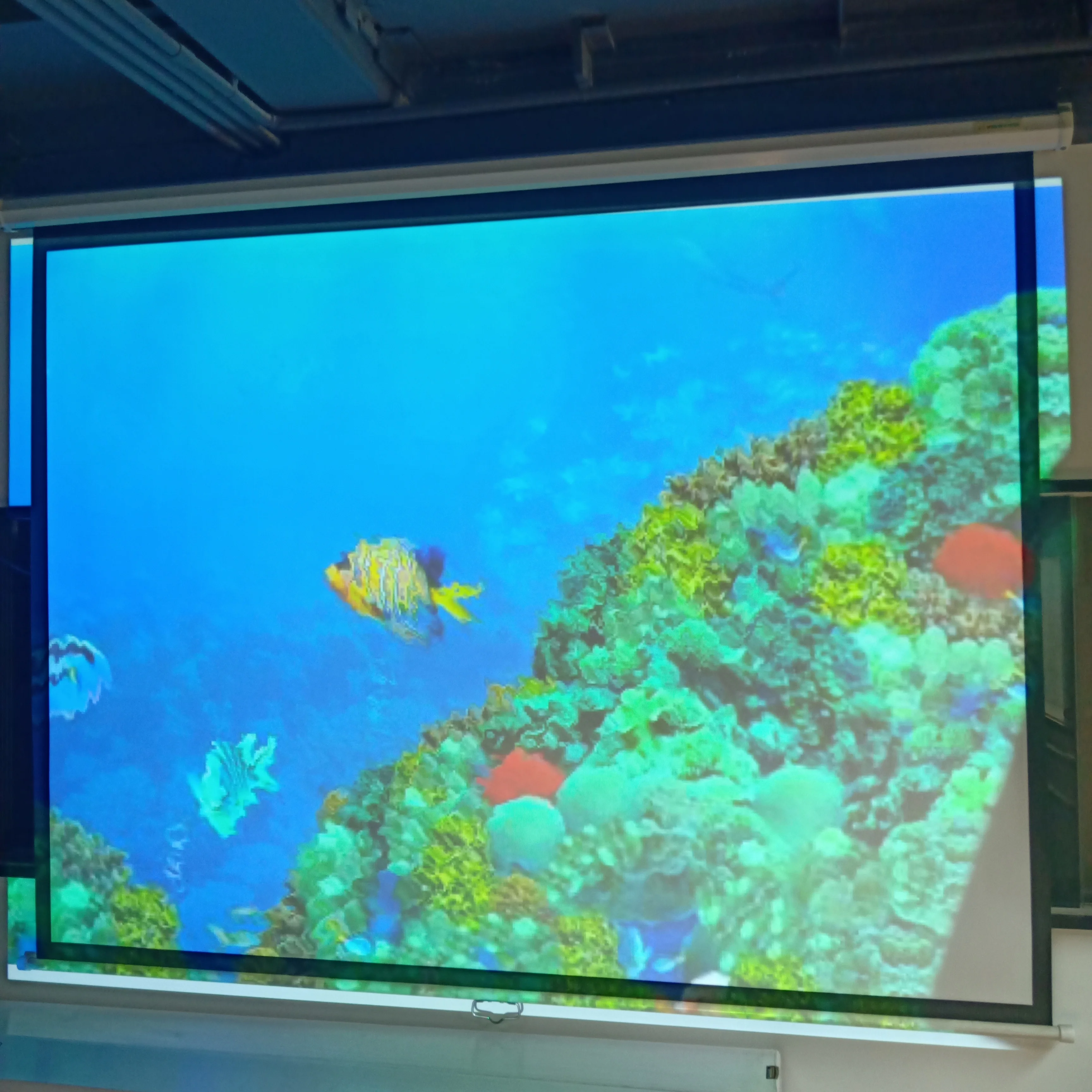 Горячая Распродажа! Танцпол с интерактивной системой 100 бесплатными